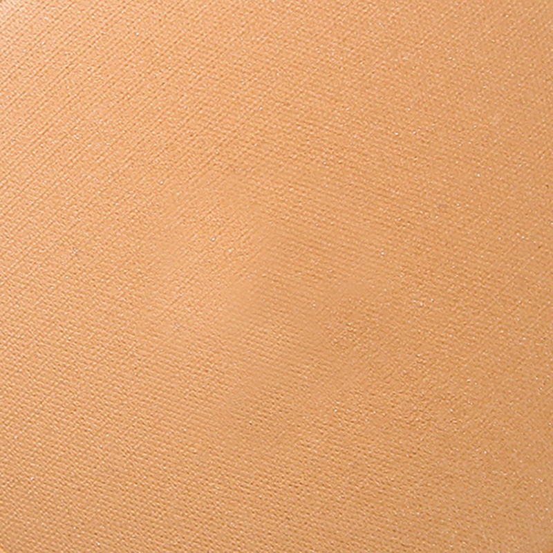 Polvo Terracota Golden Copper 341 ZAO