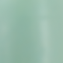 Exfoliante de Labios 482 ZAO