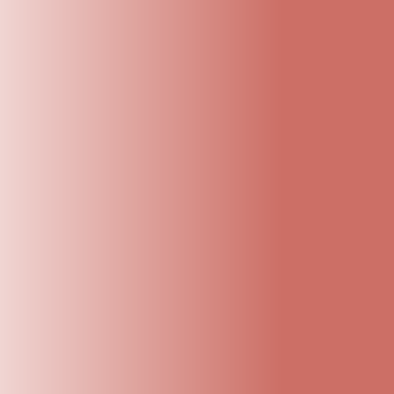 Balsamo Labial Pink Nude 485 ZAO
