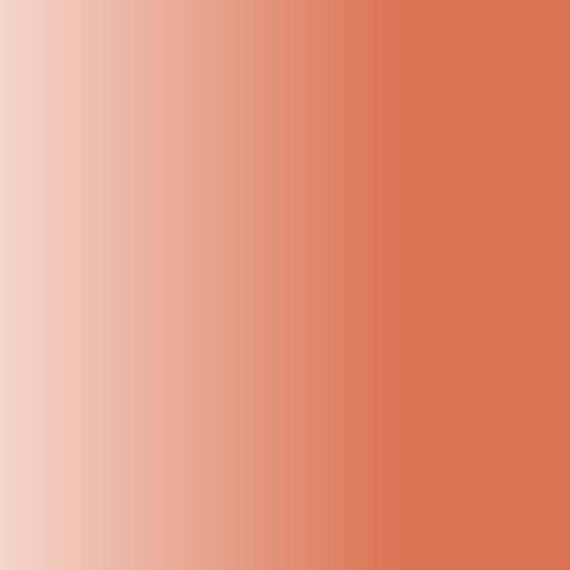 Balsamo Labial Orange Nude 486 ZAO