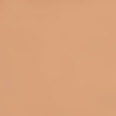 Recarga Corrector Stick Dark Brown 494 ZAO