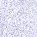 Recarga Sombra Rectangular Lilac 135 ZAO