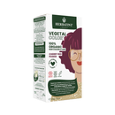 Coloracion Vegetal Cherry Red Power Henna 100% Organica 100 grs Herbatint