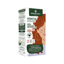 Coloracion Vegetal Love Power Henna 100% Organica 100 grs Herbatint