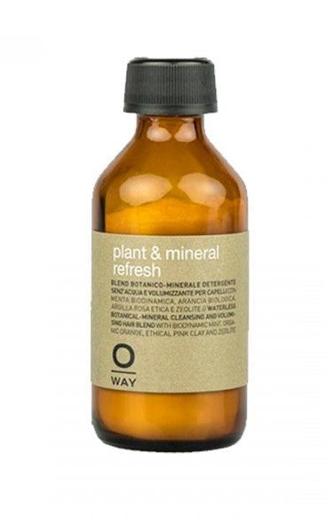 Shampoo en Seco Plant & Mineral Refresh 36 gr OWAY