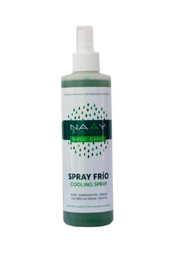 Spray Frio Calming Arnica 250 ml NAAY